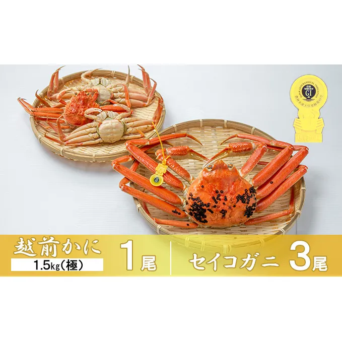 茹で越前ガニ【期間限定】食通もうなる本場の味をぜひ、ご堪能ください。セイコガニセット 約1.5kg（極）＋セイコガニ3杯 越前がに 越前かに 越前カニ カニ ボイルガニ 蟹 