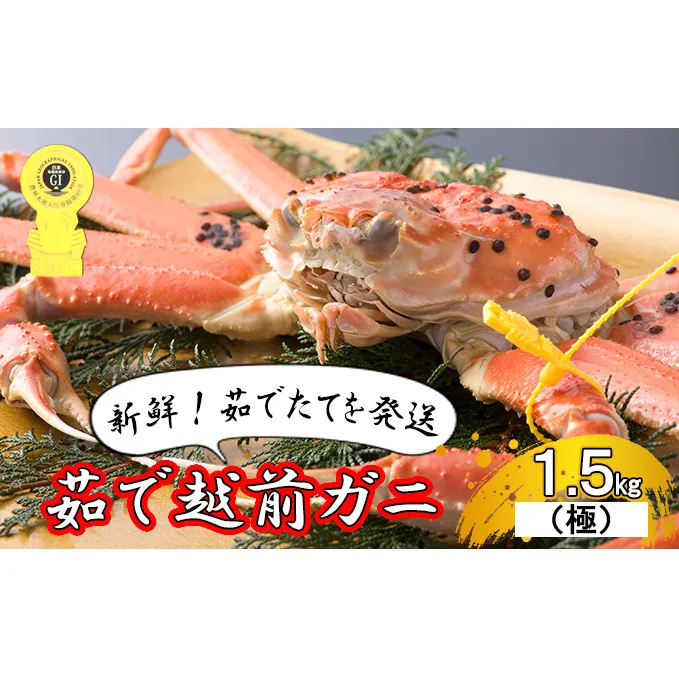 茹で越前ガニ 極！【期間限定】食通もうなる本場の味をぜひ、ご堪能ください。約1.5kg以上（極）越前がに 越前かに 越前カニ カニ ボイルガニ ずわい蟹 ずわいガニ ズワイガニ 蟹 