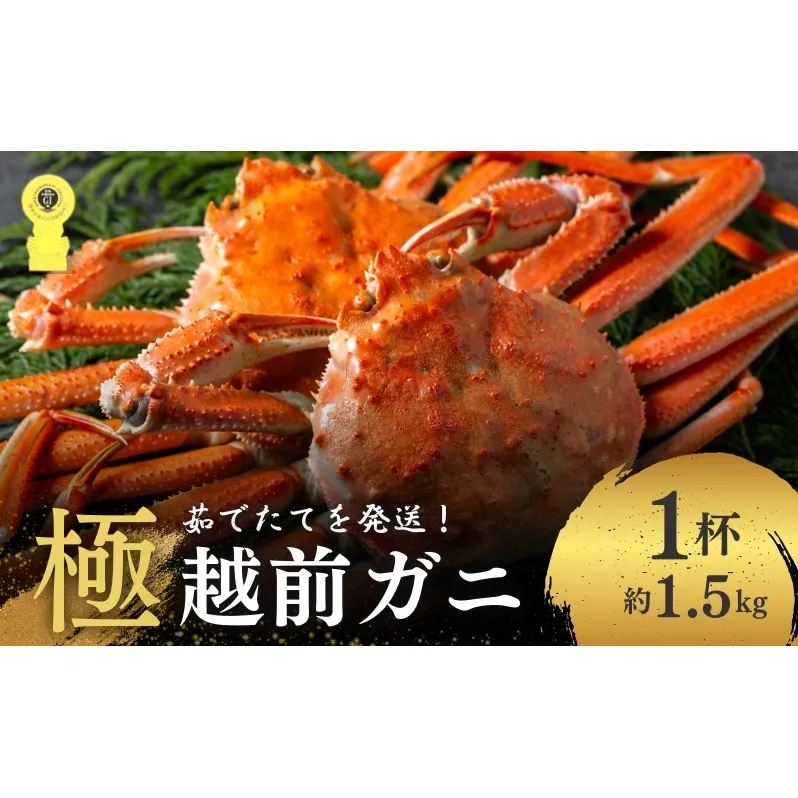 茹で越前ガニ 極！【期間限定】食通もうなる本場の味をぜひ、ご堪能ください。約1.5kg以上（極）越前がに 越前かに 越前カニ カニ ボイルガニ ずわい蟹 ずわいガニ ズワイガニ 蟹 