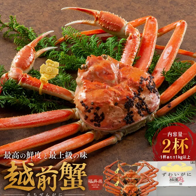 期間限定 茹で 越前ガニ 約1kg以上 2杯  食通もうなる本場の味をぜひご堪能ください 茹でガニ ズワイガニ カニ 蟹 海鮮 福井県 若狭町