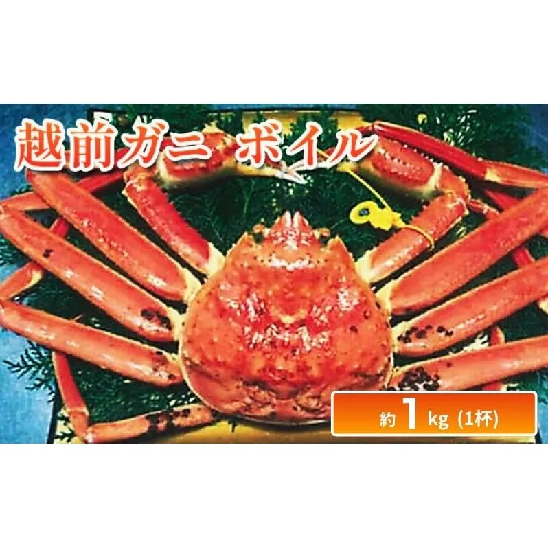 越前ガニ ボイル 約1kg ズワイガニ かに 海鮮 海産物 海の幸 魚介 魚介類 越前かに 越前カニ 越前がに ずわいがに ずわい蟹 カニ 蟹 ボイルガニ 冷蔵 冷蔵配送 福井県 福井 若狭町 若狭