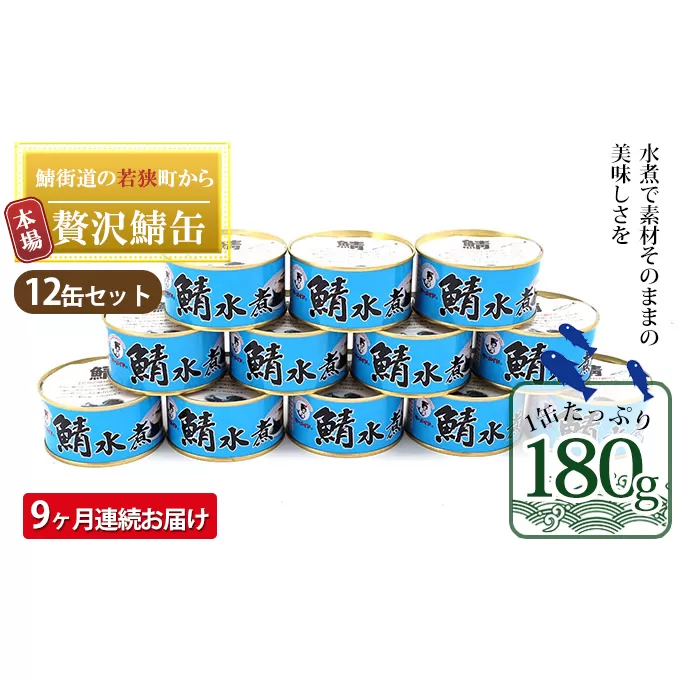 【9ヶ月連続お届け】若狭の鯖缶12缶セット（水煮） 加工食品 魚の加工品 鯖の缶詰 水煮缶 鯖の水煮 鯖の水煮缶 つまみ 調理 食材 魚の缶詰 お魚 食品 ストック 塩味 ノルウェー産 ノルウェー産鯖 DHA 便利 手軽 酒のあて 