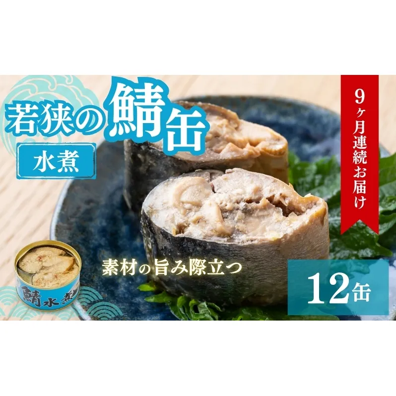 【9ヶ月連続お届け】若狭の鯖缶12缶セット（水煮） 加工食品 魚の加工品 鯖の缶詰 水煮缶 鯖の水煮 鯖の水煮缶 つまみ 調理 食材 魚の缶詰 お魚 食品 ストック 塩味 ノルウェー産 ノルウェー産鯖 DHA 便利 手軽 酒のあて