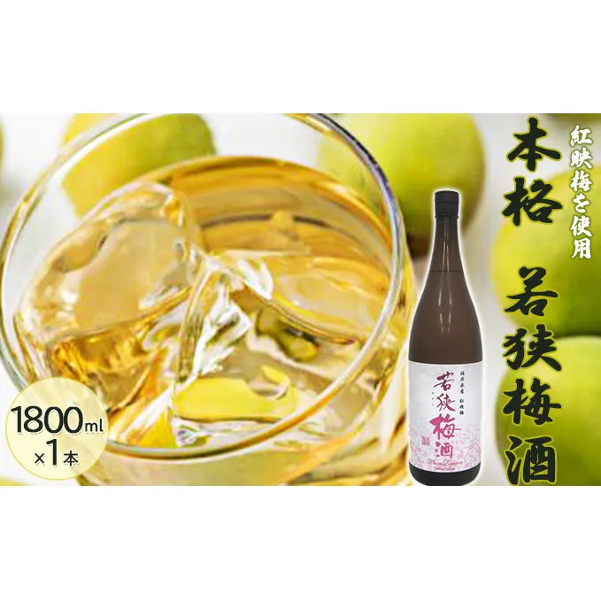 福井県産 紅映梅を使用した本格梅酒 若狭梅酒（1800ml）1本　