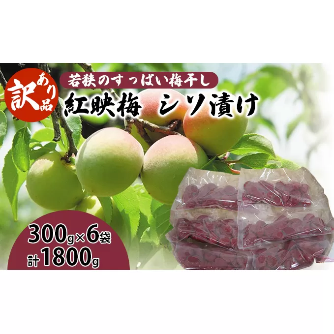 若狭のすっぱい梅干し　訳あり品（300gを6袋、合計1800g）紅映梅　シソ漬け しそ漬け 昔ながらのすっぱい 梅ぼし 塩分18％ 紅映梅は種が小さく肉厚 おにぎりの具 お弁当 