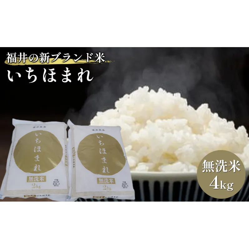 無洗米　いちほまれ4kg（令和7年産）福井の新ブランド米　2kgを2袋 お米 白米 精米 名作 粒感 粘り 絶妙 優しい 甘さ