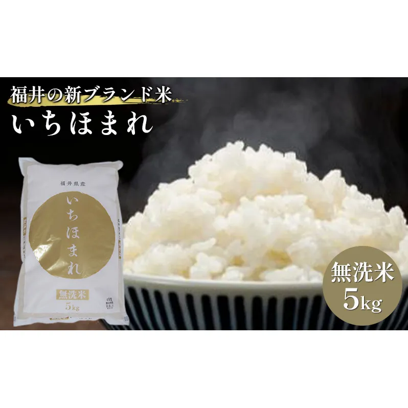 無洗米　いちほまれ5kg（令和7年産）福井の新ブランド米 お米 白米 精米 名作 粒感 粘り 絶妙 優しい 甘さ