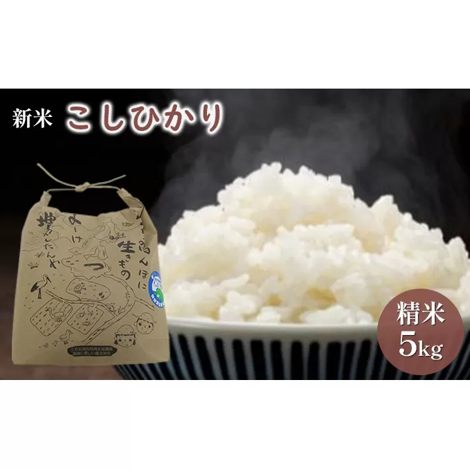 【先行予約】こしひかり5kg（令和6年度産）特別栽培米　若狭・天狗山農園 お米 代表 食感 精米 農薬 化学肥料 