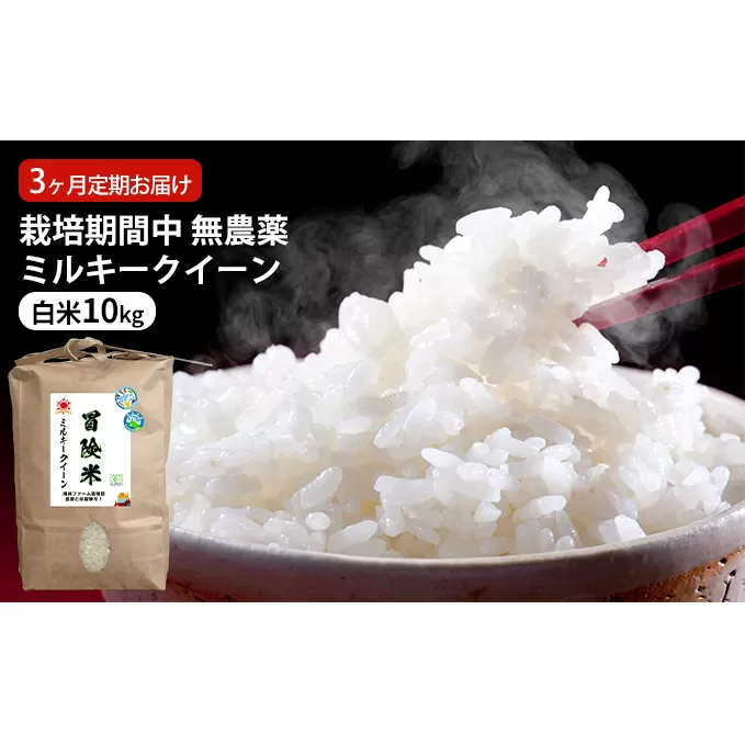 栽培期間中 無農薬ミルキークイーン 白米10kg 3ヶ月定期お届け お米ブランド米 精米 ご飯 おにぎり お弁当 和食 福井県認証特別栽培米 もちもち 冷めてもおいしい 