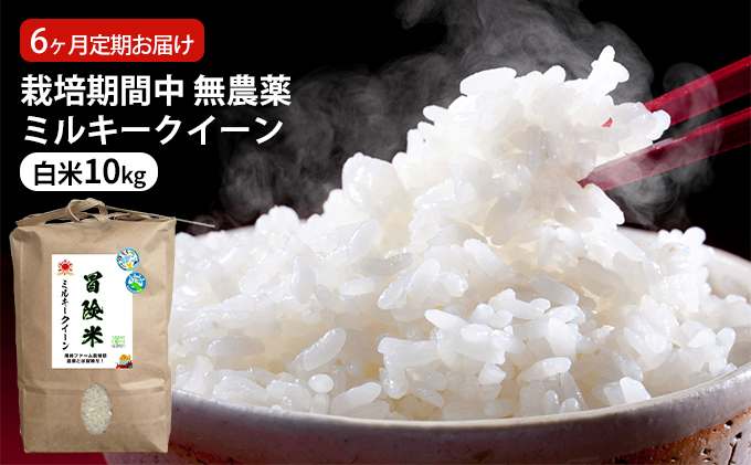 米 定期便 6ヶ月 栽培期間中 無農薬 ミルキークイーン 10kg 白米 米 定期便 6ヶ月 栽培期間中 無農薬 ミルキークイーン 10kg 白米
