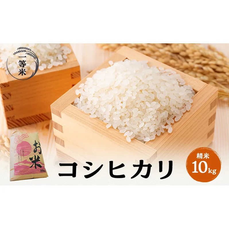 【令和5年福井県若狭町産】コシヒカリ（1等米）精米10kg お米ブランド米 白米 ご飯 おにぎり お弁当 和食 粘り もちもち 甘み 安心 安全 