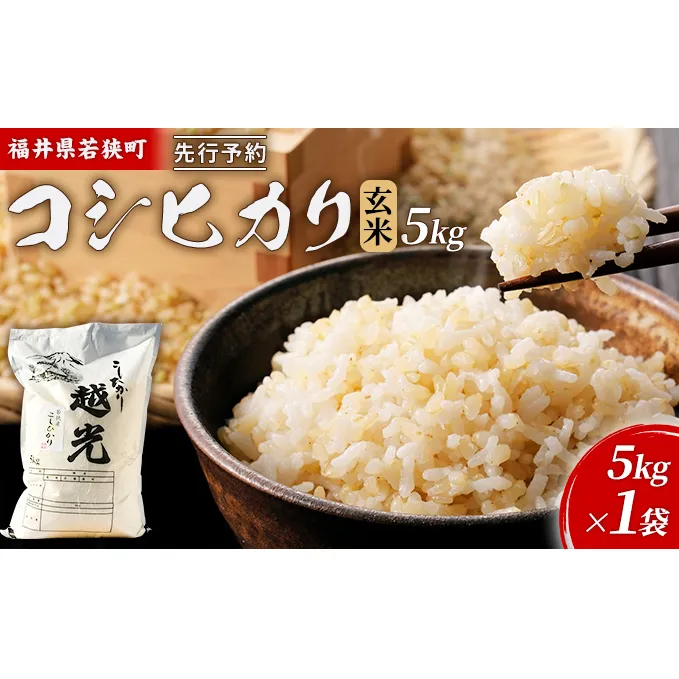 令和6年産福井県若狭町コシヒカリ（一等米）玄米　5kg（神谷農園） 5kg×1袋 お米 ブランド米 銘柄米 ご飯 おにぎり お弁当 産地直送 和食 主食 