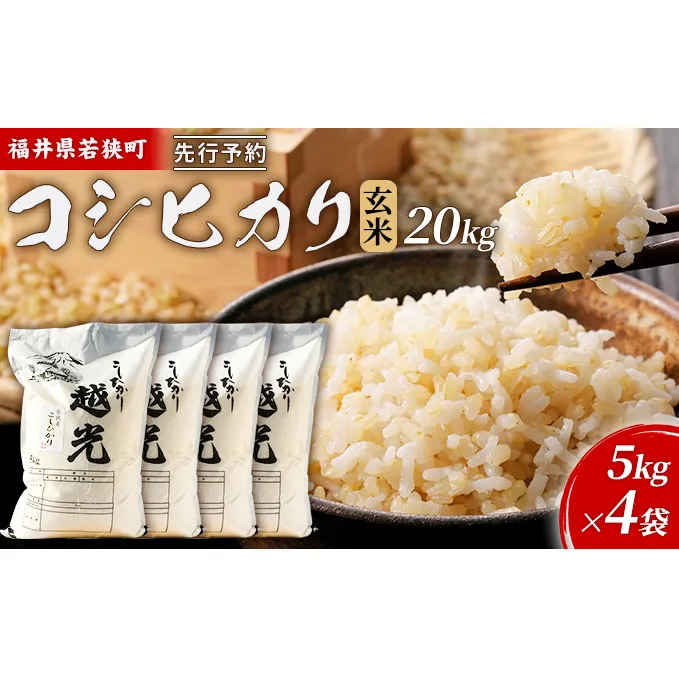 令和6年産福井県若狭町コシヒカリ（一等米）玄米　20kg（神谷農園） 5kg×4袋 お米 ブランド米 銘柄米 ご飯 おにぎり お弁当 産地直送 和食 主食 