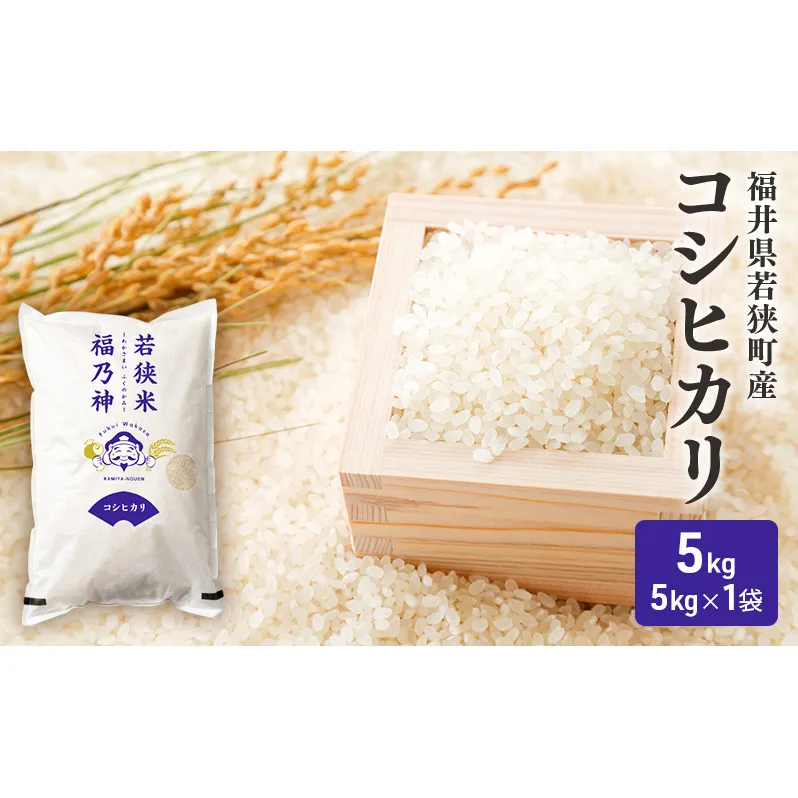 令和7年産 福井県若狭町 コシヒカリ （一等米） 5kg（神谷農園） 5kg×1袋 お米 ブランド米 銘柄米 ご飯 おにぎり お弁当 産地直送 和食 主食