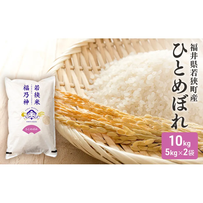 米 令和7年産 ひとめぼれ 10kg (5kg×2) 新米 白米 精米 単一原料米 一等米 ブランド米