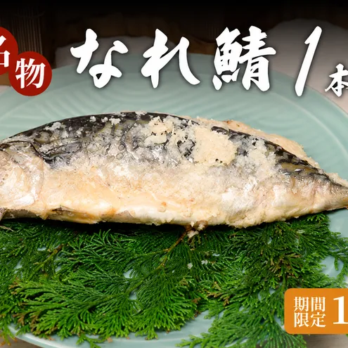 名物なれ鯖 1本 500g～600g 期間限定10月から翌年4月 