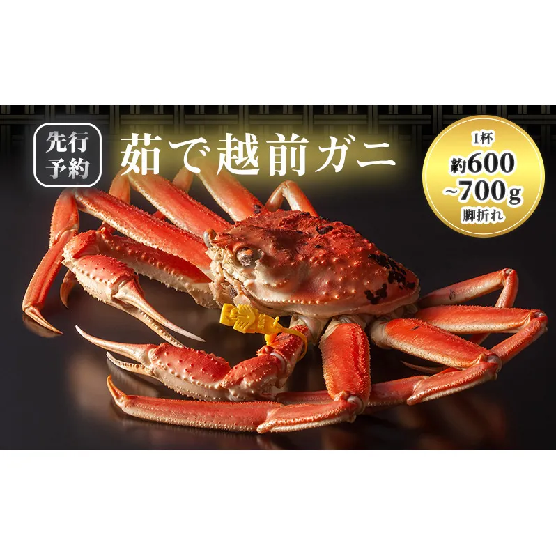【年明け出荷】【訳あり】 茹で越前ガニ【期間限定】 約600g～700g未満×1杯 脚折れ 蟹 かに 越前がに 越前ガニ ズワイガニ ずわい蟹 ずわいがに 魚介 魚介類 海鮮 訳アリ 福井県 福井 