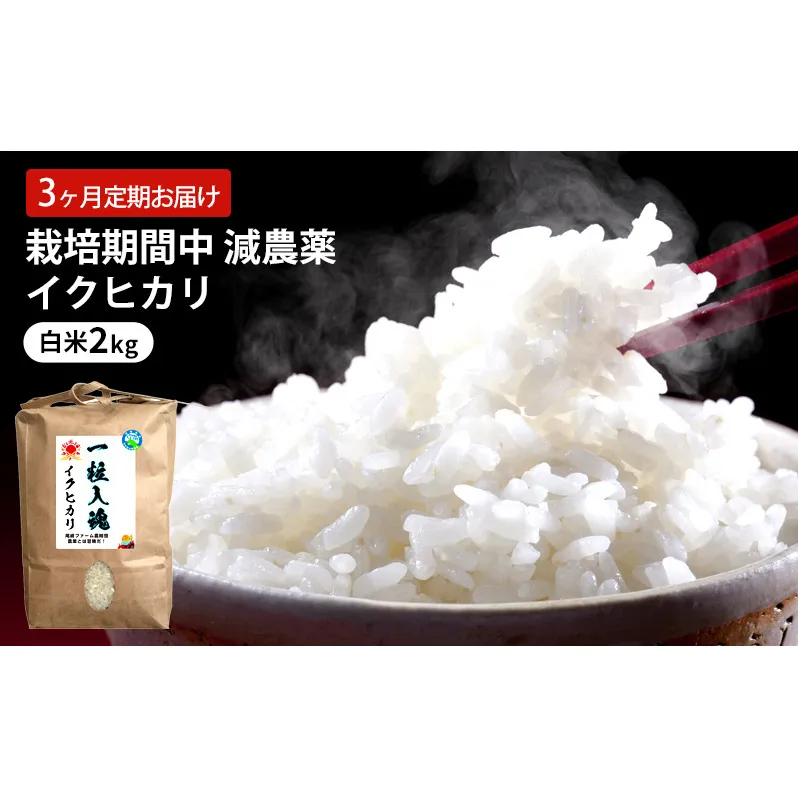 定期便 3回 栽培期間中 減農薬 イクヒカリ 白米 2kg 3ヶ月 定期 お届け