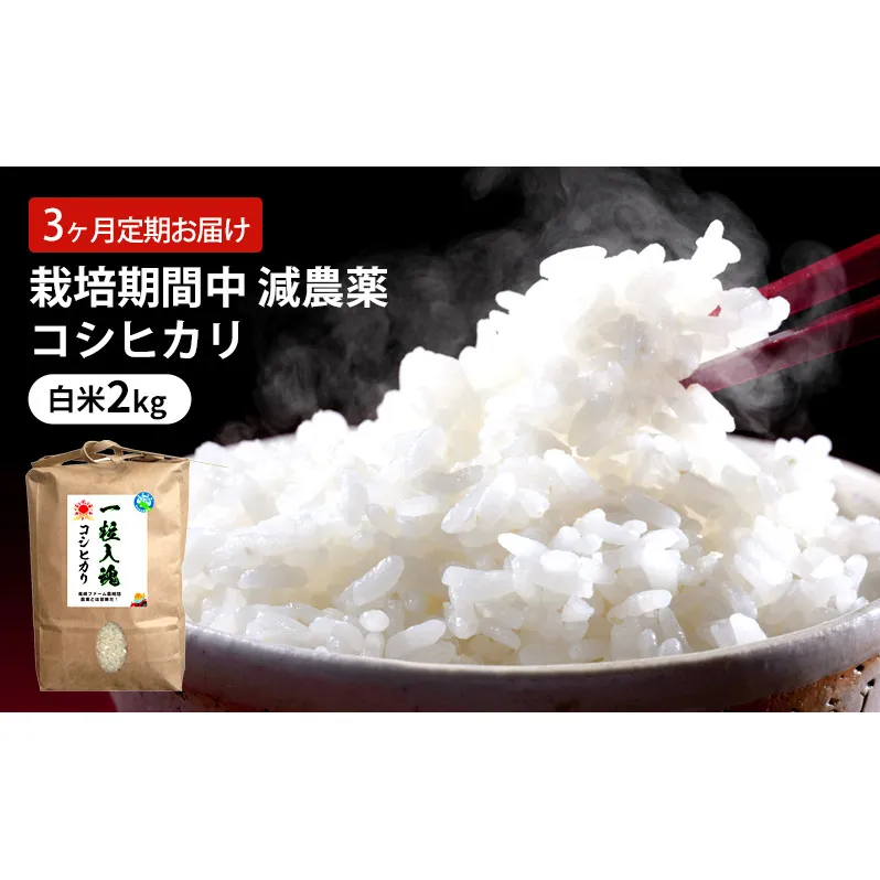 定期便 3回 栽培期間中 減農薬 コシヒカリ 白米 2kg 3ヶ月 定期 お届け