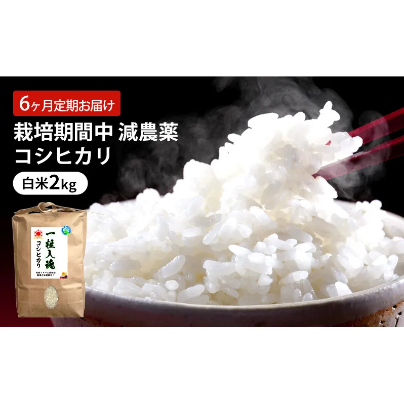 定期便 6回 栽培期間中 減農薬 コシヒカリ 白米 2kg 6ヶ月 定期 お届け
