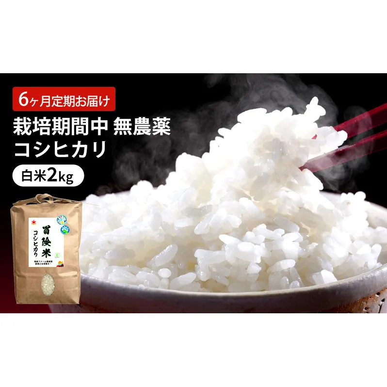 定期便 6回 栽培期間中 無農薬 コシヒカリ 白米 2kg 6ヶ月 定期 お届け