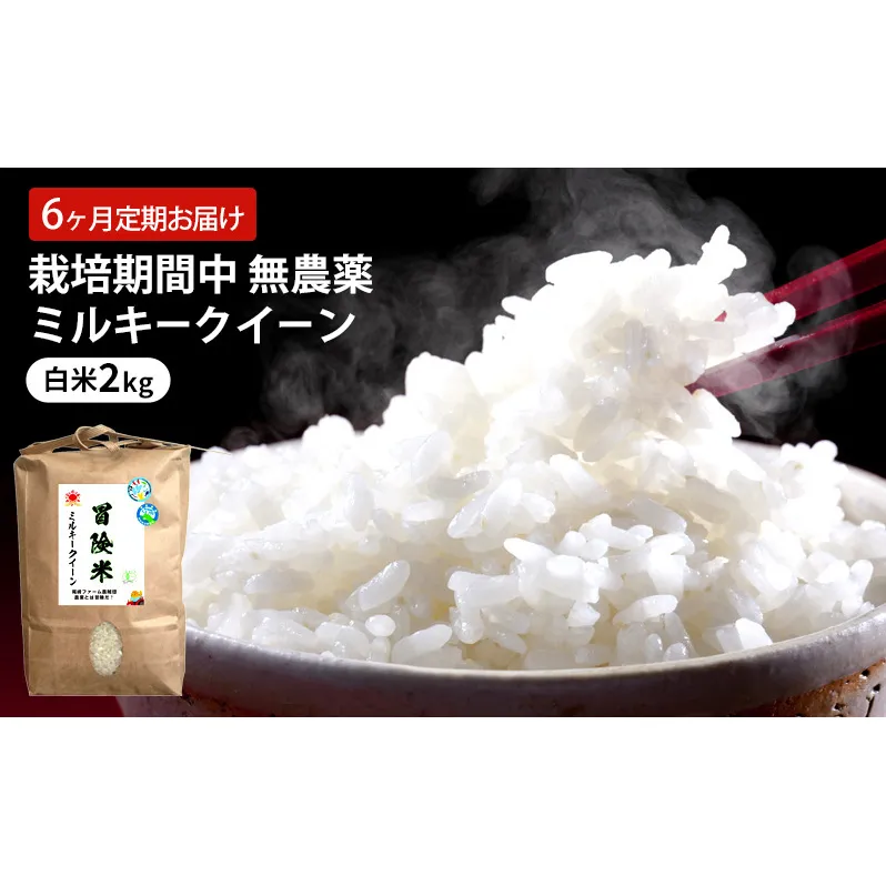 定期便 6回 栽培期間中 無農薬 ミルキークイーン 白米 2kg 6ヶ月 定期 お届け