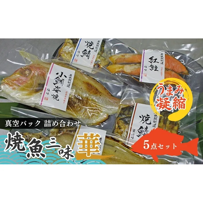 焼魚ざんまい 華（真空パック焼魚5点セット）若狭かれい、小鯛姿焼き、焼き鯖など 魚貝類 加工食品 惣菜 漬魚