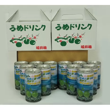 梅ドリンク12本（6本ずつ化粧箱入り） 果汁飲料 ジュース 