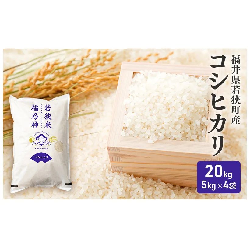 【2月お届け】令和8年産 若狭町コシヒカリ20kg 米 お米 こしひかり 福井県