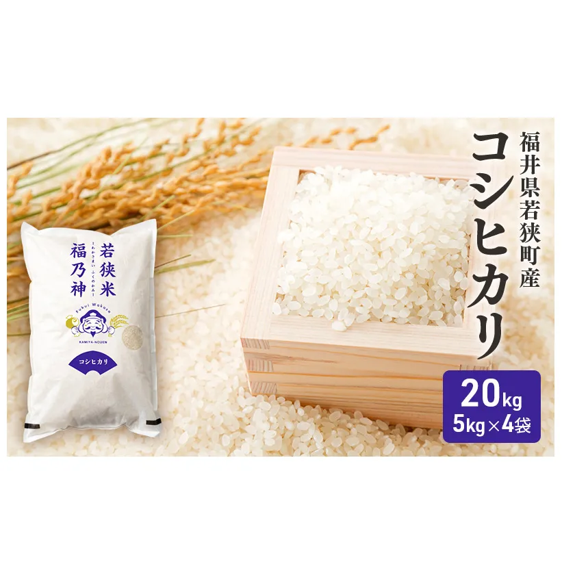 【3月お届け】令和8年産 若狭町コシヒカリ20kg 米 お米 こしひかり 福井県