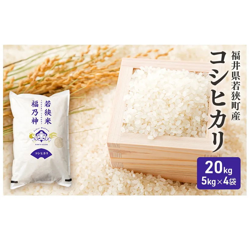 【11月お届け】令和8年産 若狭町コシヒカリ20kg 米 お米 こしひかり 福井県