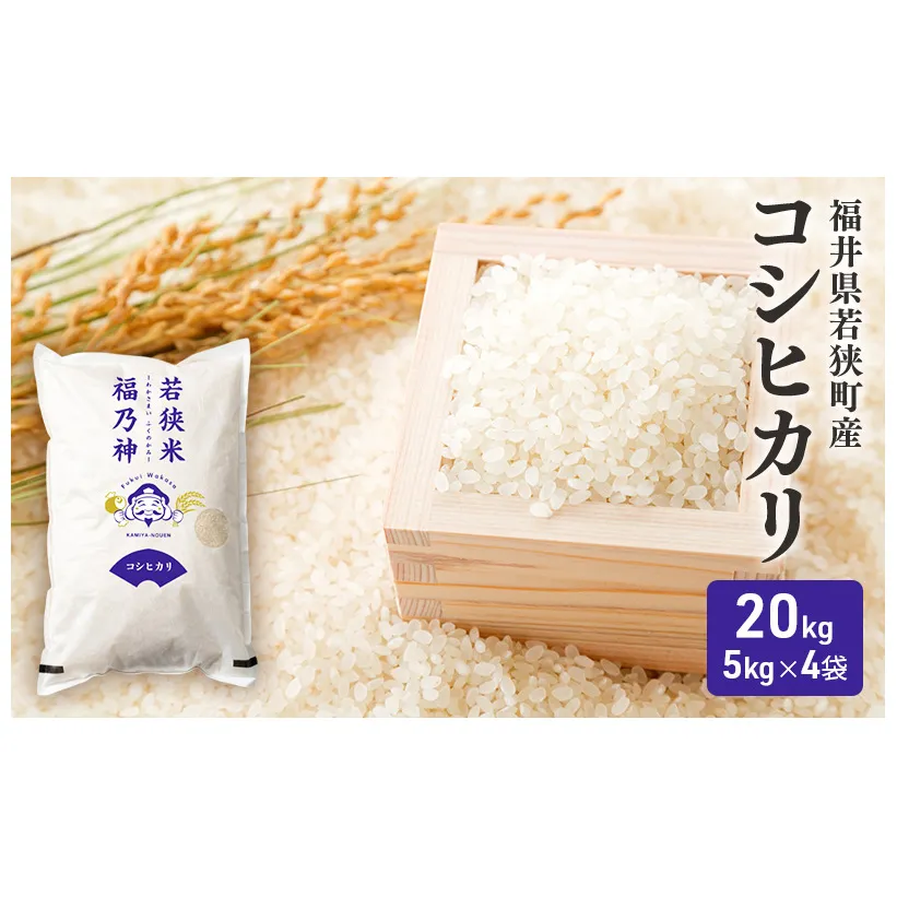 【12月お届け】令和8年産 若狭町コシヒカリ20kg 米 お米 こしひかり 福井県