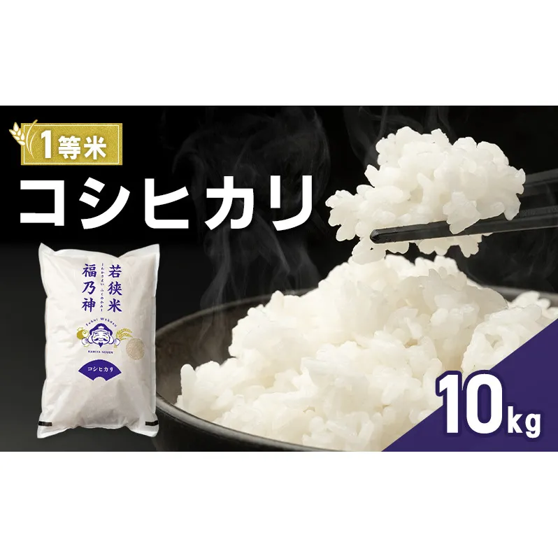 令和7年産 コシヒカリ 10kg（一等米・神谷農園） 米 お米 こしひかり 若狭町
