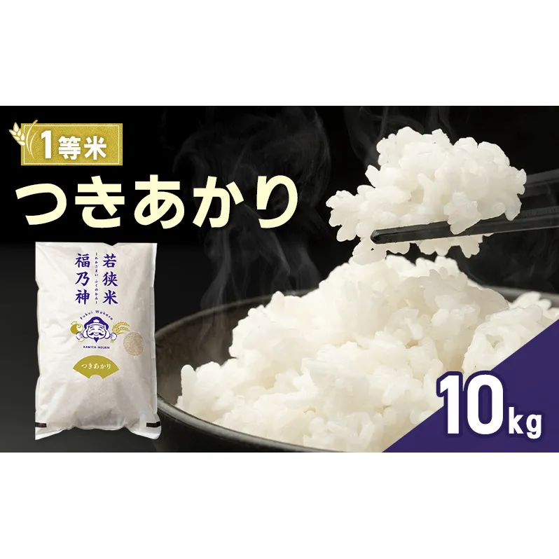 令和7年産 つきあかり 10kg（一等米・神谷農園） 米 お米 若狭町