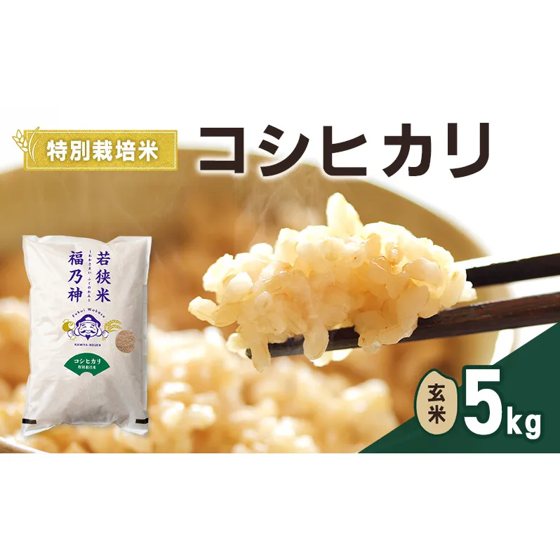令和8年産 特別栽培米 コシヒカリ 5kg（玄米） 米 お米 こしひかり 若狭町