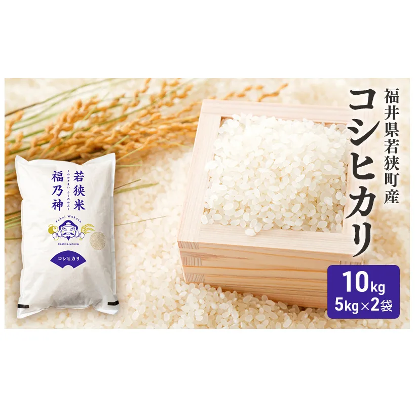 【3月お届け】令和8年産 若狭町コシヒカリ10kg 米 お米 こしひかり 福井県