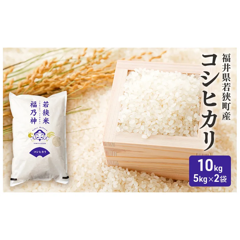 【12月お届け】令和8年産 若狭町コシヒカリ10kg 米 お米 こしひかり 福井県