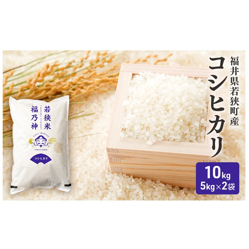 【2月お届け】令和8年産 若狭町コシヒカリ10kg 米 お米 こしひかり 福井県