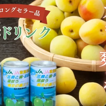 梅ドリンク　1ケース30缶 加工食品 ジュース うめ ウメ