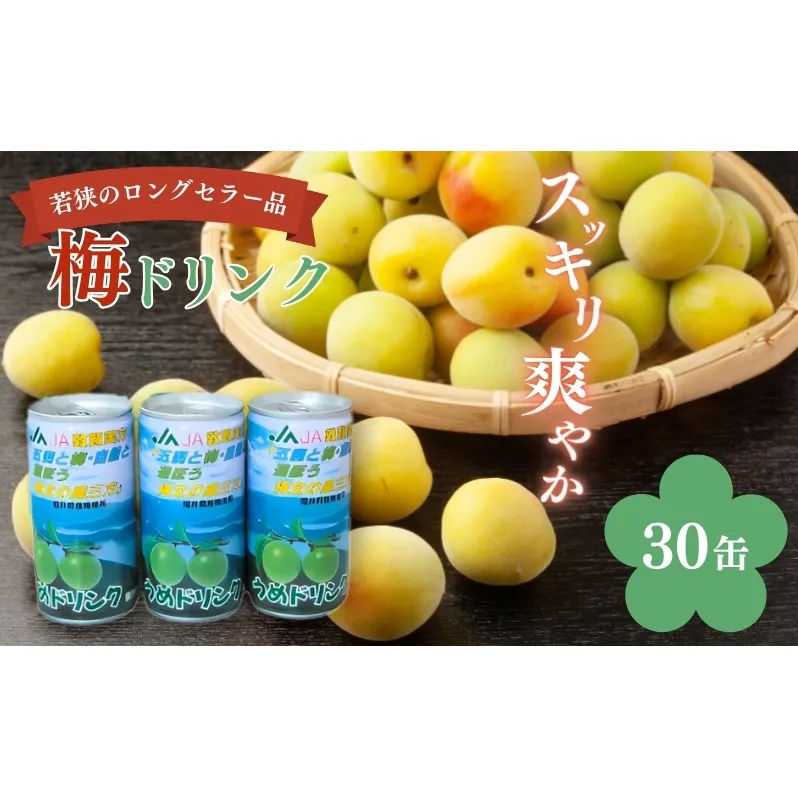梅ドリンク　1ケース30缶 加工食品 ジュース うめ ウメ