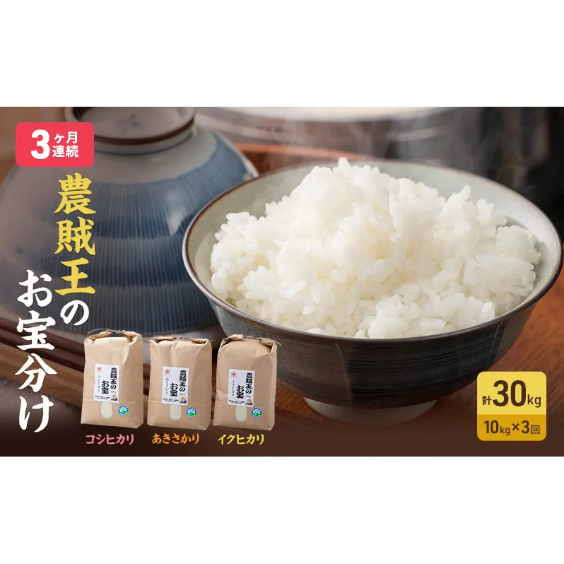 米 定期便 3ヶ月 農賊王のお宝分け 10kg 高島屋選定品 コシヒカリ こしひかり あきさかり イクヒカリ お米 おこめ こめ コメ 白米 精米 ご飯 ごはん 福井県 福井 3回 お楽しみ 