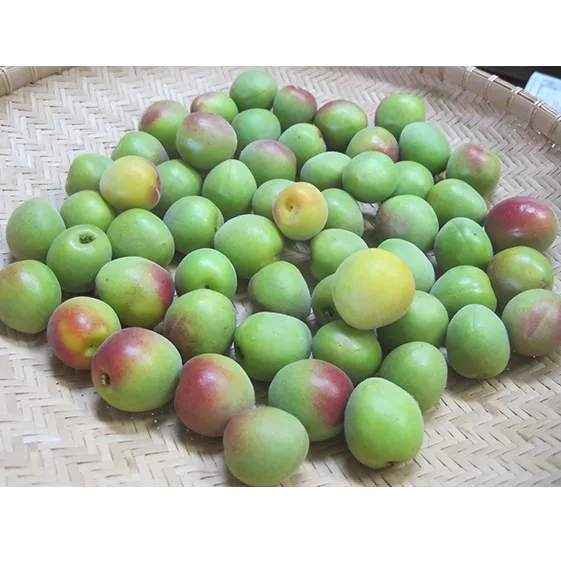 6月中旬～順次発送　青梅（紅映梅）1kg　2Lサイズ前後　秀と優の混合 野菜 ウメ 