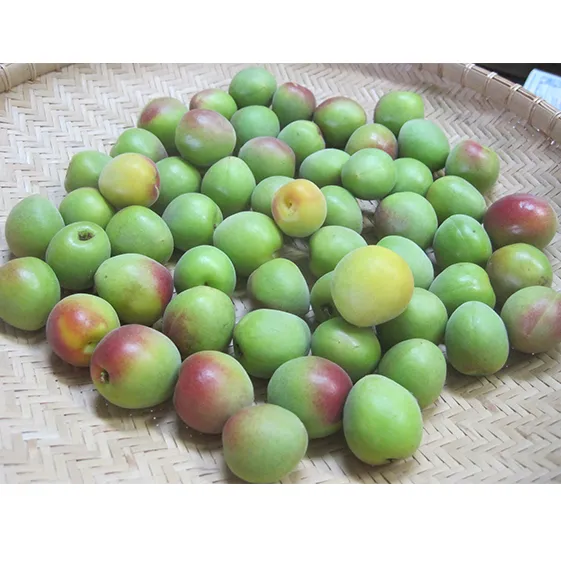 6月中旬～順次発送　青梅（紅映梅）5kg　2Lサイズ前後　秀と優の混合 野菜 ウメ 