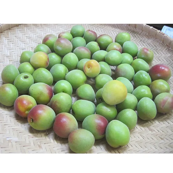 6月中旬～順次発送　青梅（紅映梅）2kg　2Lサイズ前後　秀と優の混合 野菜 ウメ 