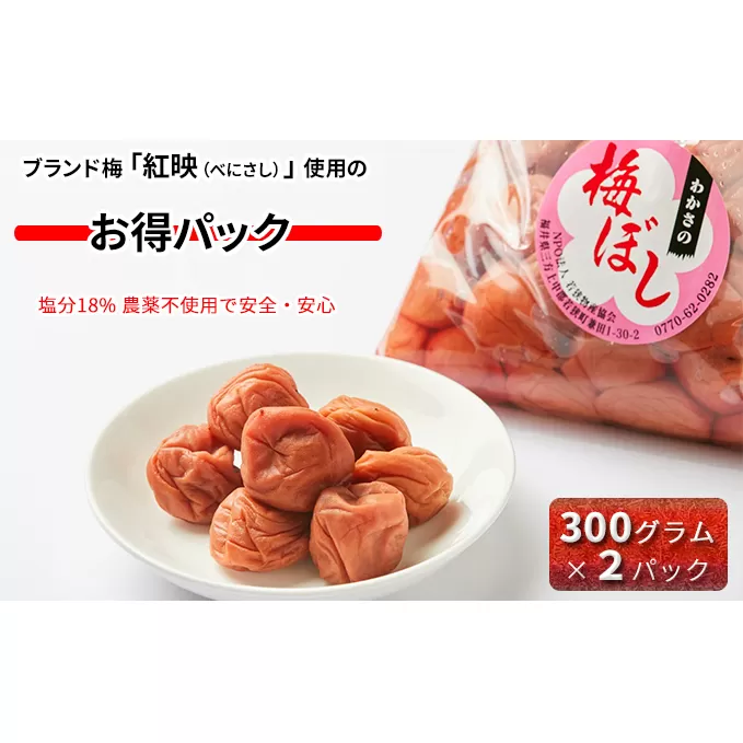 梅干し しそ入り 600g (300g×2袋) 若狭のすっぱい梅干し 紅映梅 うめ ウメ 梅 酸っぱい梅干し 昔ながらの梅干し 昔ながら うめぼし ご飯のお供 ごはんのお供 おにぎりの具 福井 福井県 若狭町