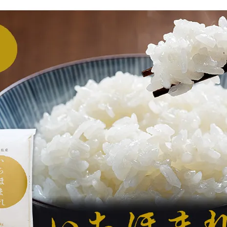 米 令和5年産 いちほまれ 10kg 福井 高級ブランド米 お米 おこめ コメ こめ 白米 精米 ご飯 ごはん 福井県
