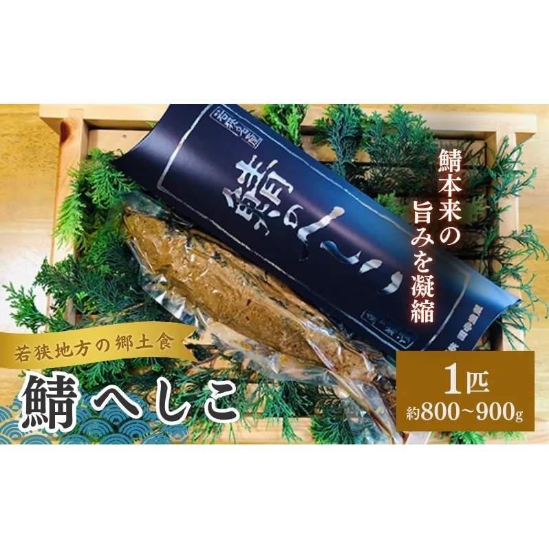 若狭町産 鯖へしこ（糠漬）1本　約800～900g前後 魚貝類 加工食品 惣菜 魚介類