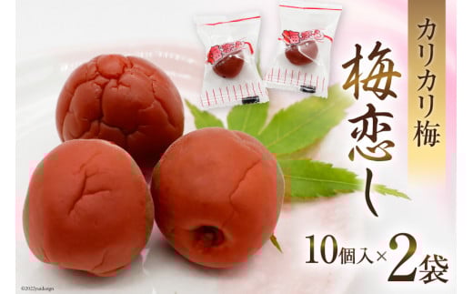 Amazon | お徳用国産カリカリ梅500g 国産梅100％使用 | 天然