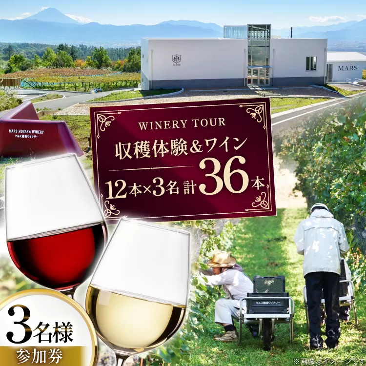 ワイン 収穫体験＆ワインセット 12本×3名 計36本 3名様 参加券 ワイナリー [本坊酒造マルス穂坂ワイナリー 山梨県 韮崎市 20745173]