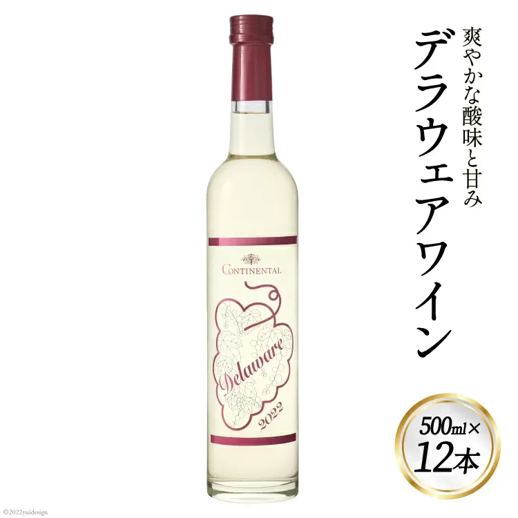 ワイン 白 デラウェアワイン 500ml×12本 [サン.フーズ 山梨県 韮崎市 20741860] 白ワイン 日本ワイン お酒 アルコール